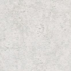 Alternative view of Erismann - Collage 3