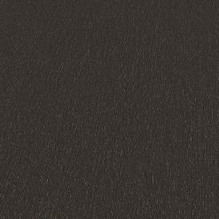 Alternative view of Erismann - Spotlight 2b