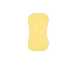 Harris Essentials Sponge